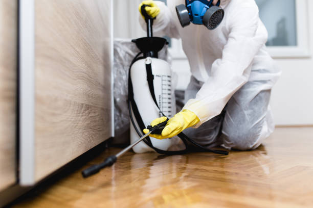 Best Mosquito Control Services  in Dogtown, CA