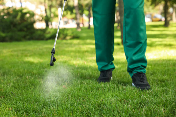 Best Affordable Pest Control Services  in Dogtown, CA
