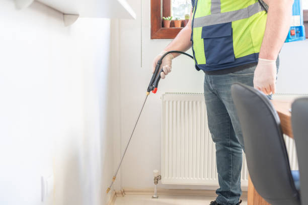 Best Best Pest Control Near Me  in Dogtown, CA