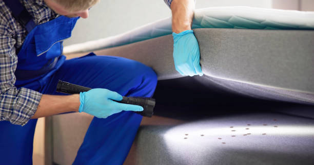 Best Best Pest Control Companies  in Dogtown, CA